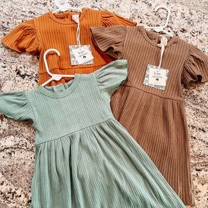 Kate Quinn Dress Bundle (18-24 months)